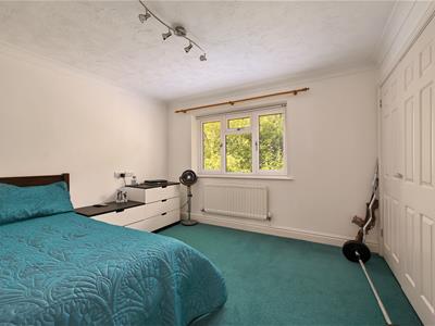 Picture 11